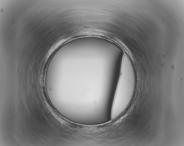 X0000087420893200704201043
