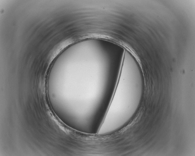X0000087420898200704201042