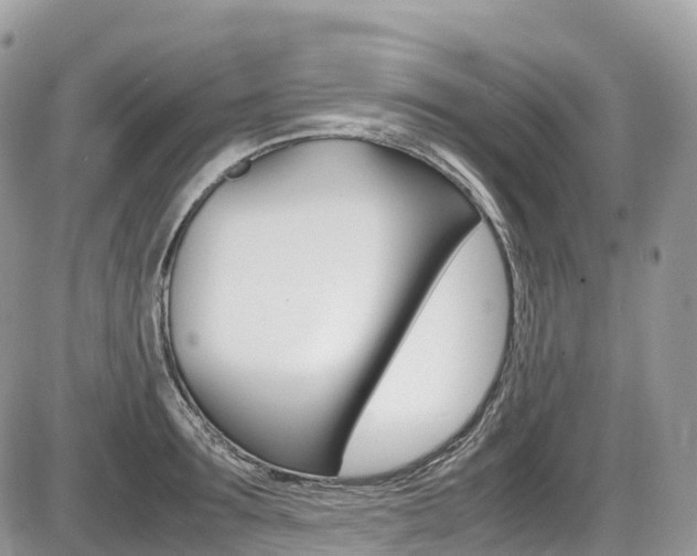 X0000087420899200704201042