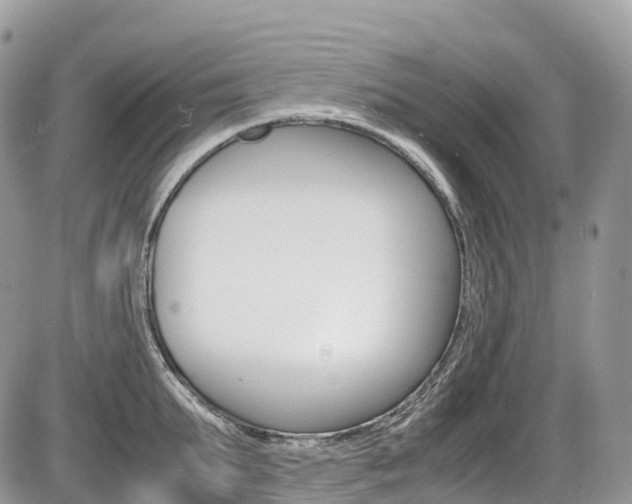 X0000087420903200704201042