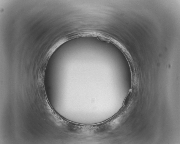 X0000087420905200704201042