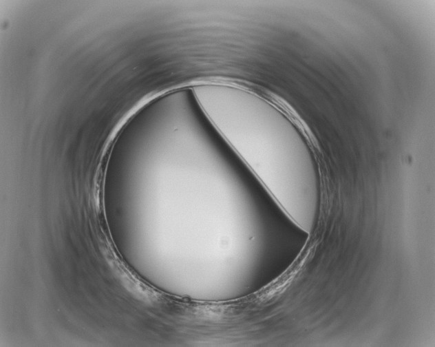 X0000087420908200704201042