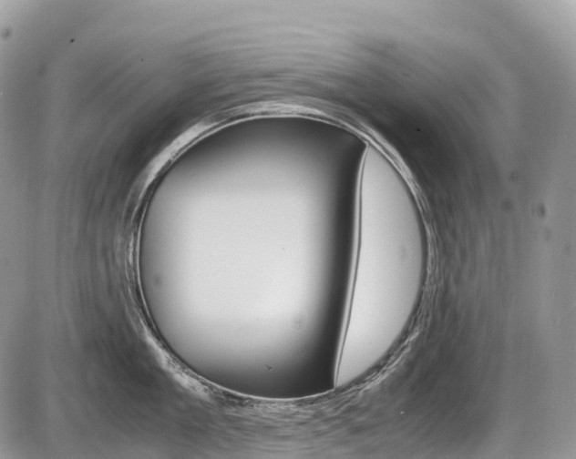 X0000087420909200704201042