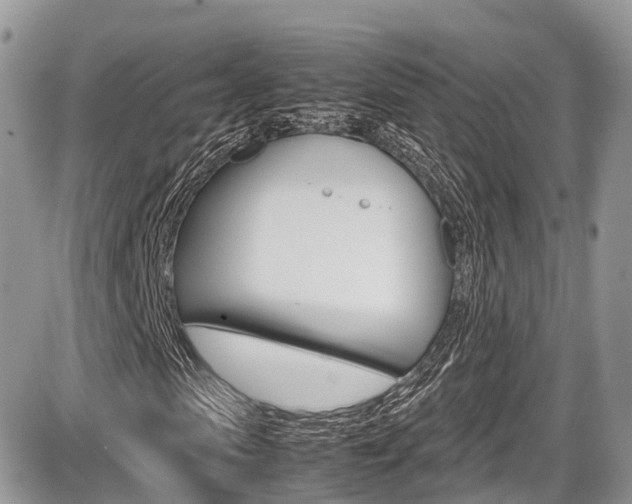 X0000087420913200704201041