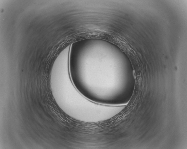 X0000087420916200704201041