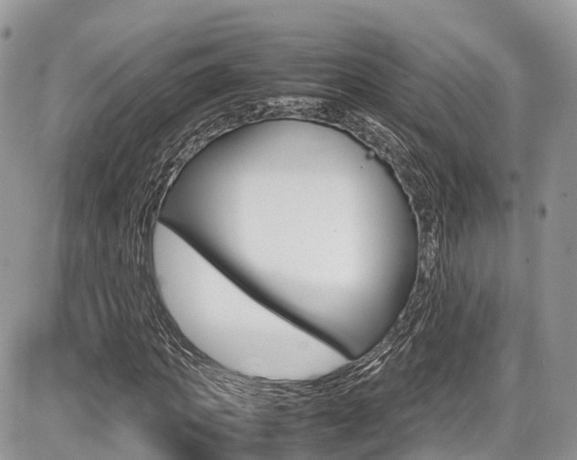 X0000087420917200704201041