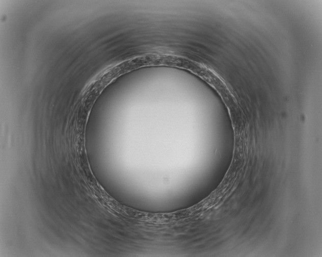 X0000087420919200704201042