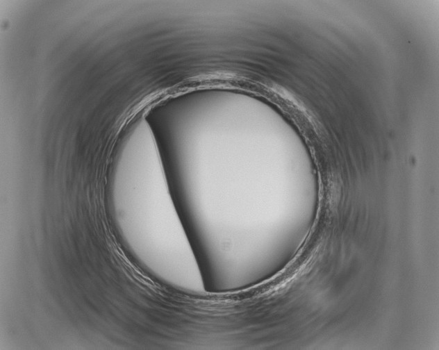 X0000087420921200704201042