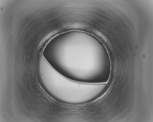 X0000087420922200704201042