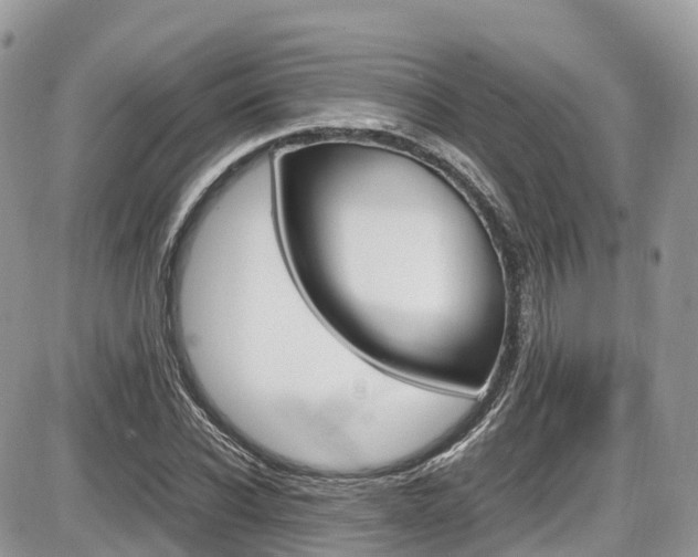 X0000087420926200704201042