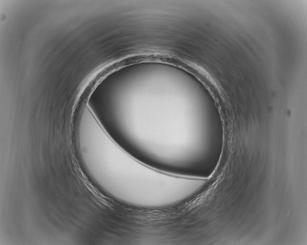 X0000087420927200704201042