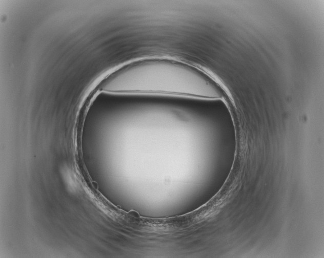 X0000087420935200704201042