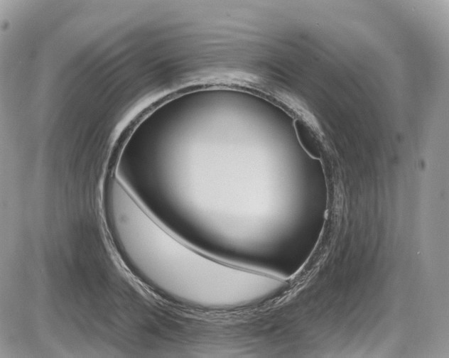 X0000087420936200704201042