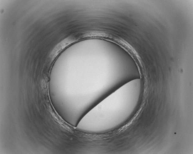 X0000087420937200704201042