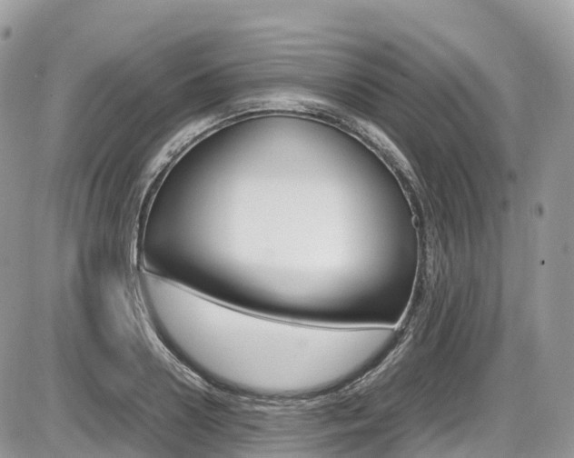 X0000087420938200704201042