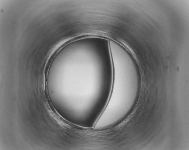 X0000087420940200704201042