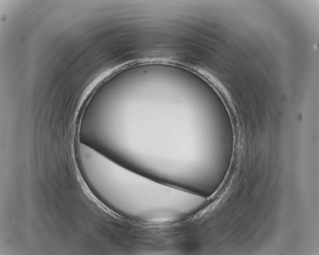 X0000087420941200704201042