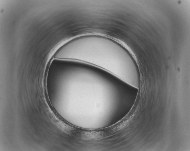 X0000087420943200704201042
