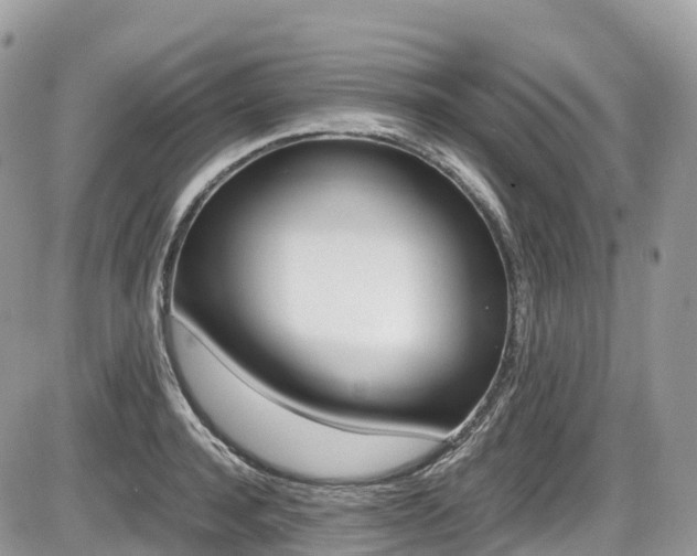 X0000087420944200704201042