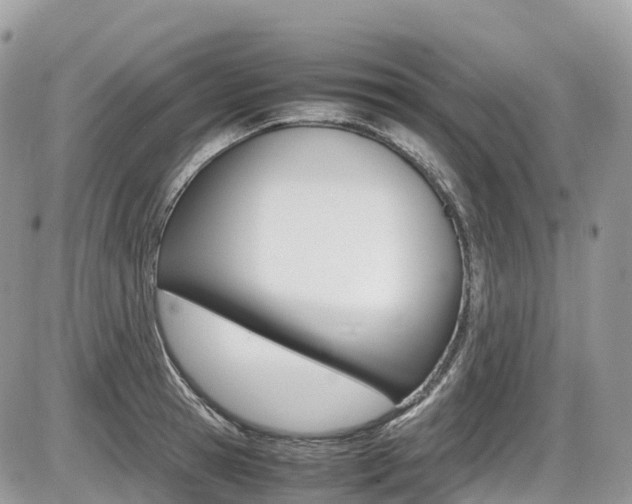X0000087420945200704201042