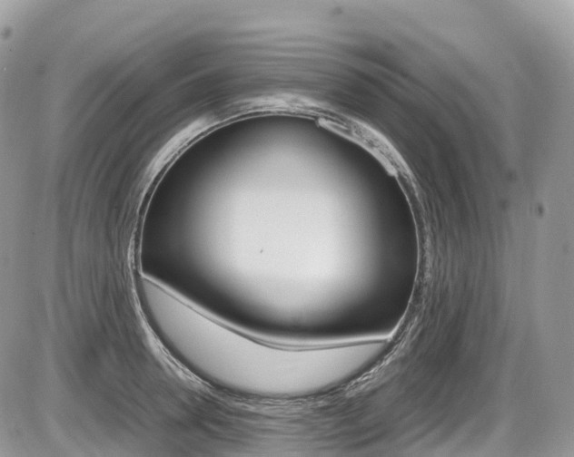 X0000087420946200704201042