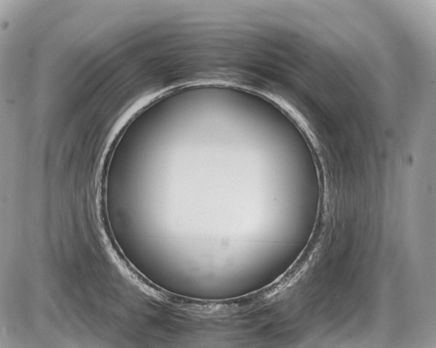 X0000087420949200704201042
