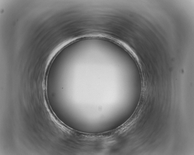 X0000087420951200704201042