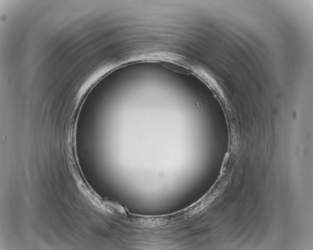 X0000087420952200704201042