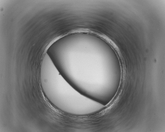 X0000087420953200704201042