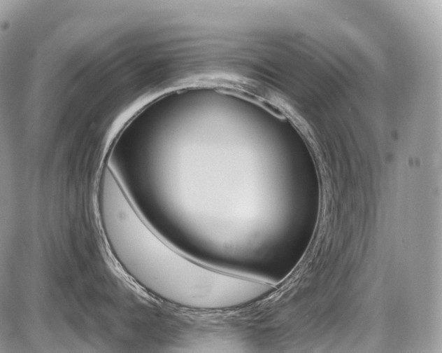 X0000087420960200704201042