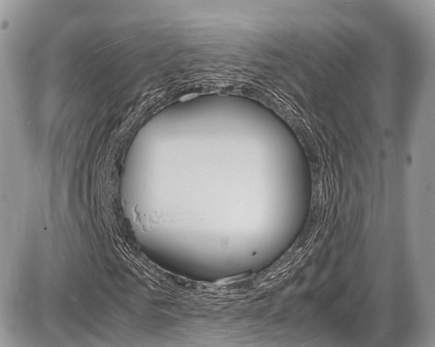 X0000087420961200704201041
