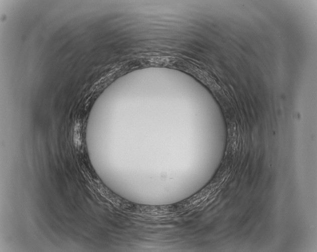 X0000087420962200704201041
