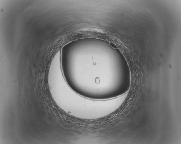 X0000087420965200704201041