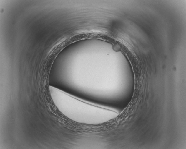 X0000087420967200704201041
