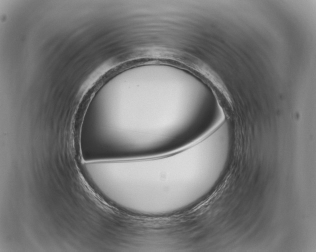 X0000087420972200704201041