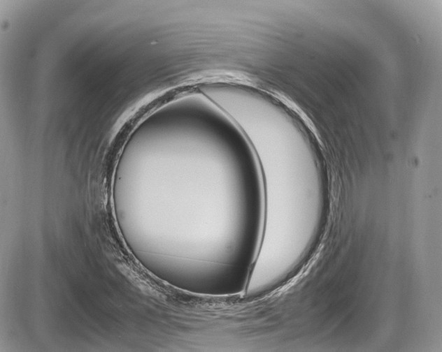 X0000087420973200704201041