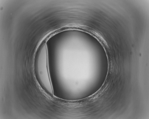 X0000087420976200704201041