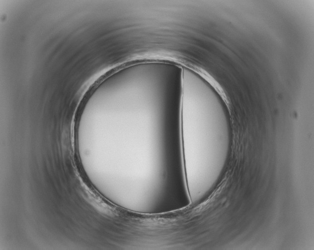 X0000087420988200704201041