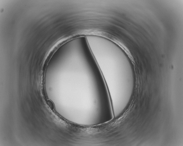 X0000087420992200704201041