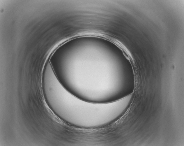 X0000087420996200704201041