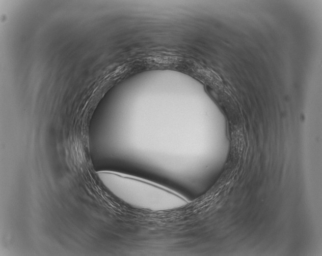 X0000087421009200704201040