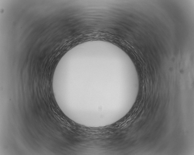 X0000087421010200704201040