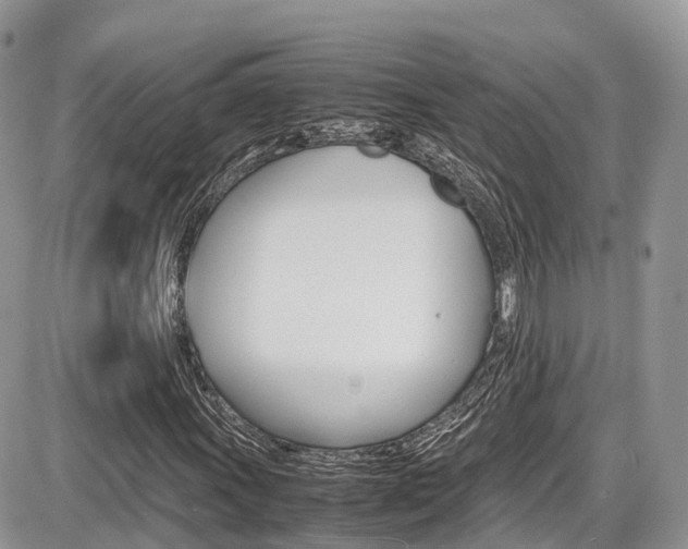 X0000087421011200704201040
