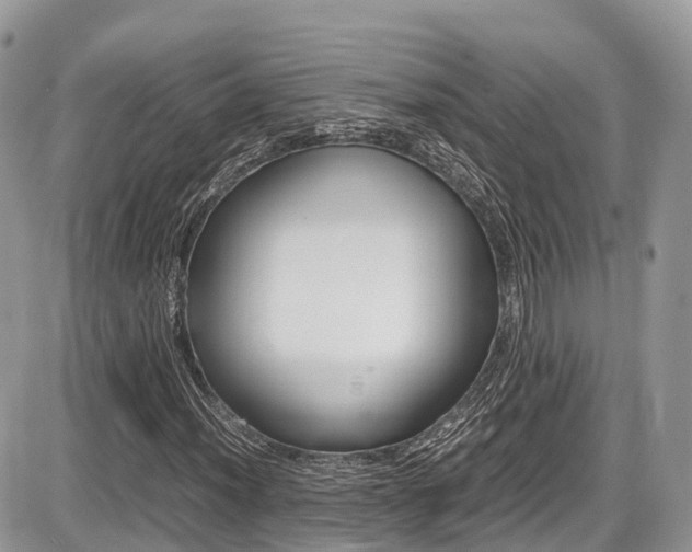 X0000087421012200704201040