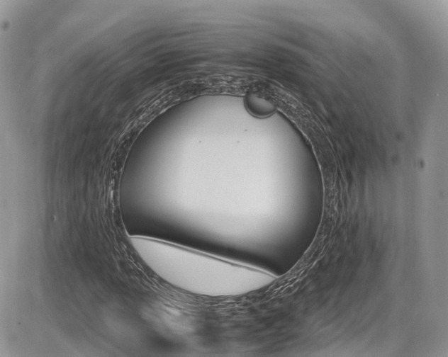X0000087421013200704201040