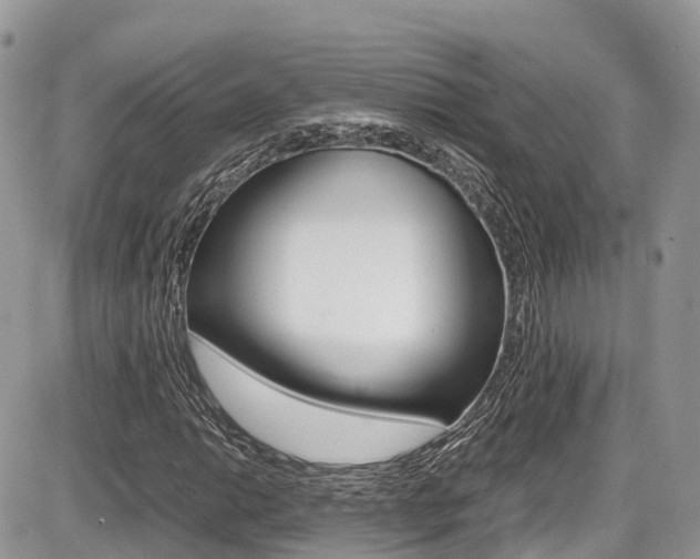 X0000087421014200704201040