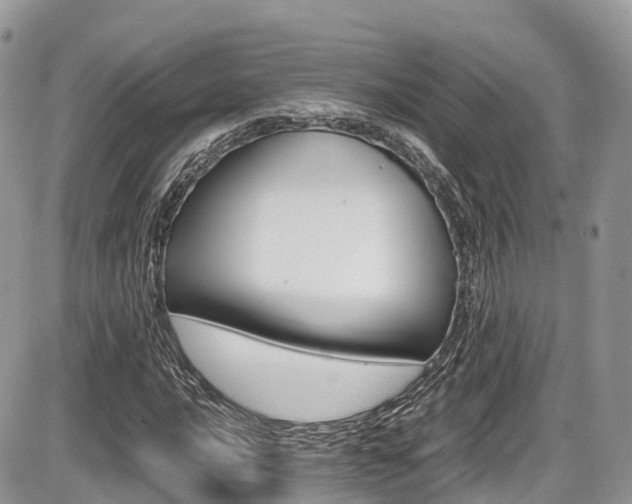 X0000087421016200704201040
