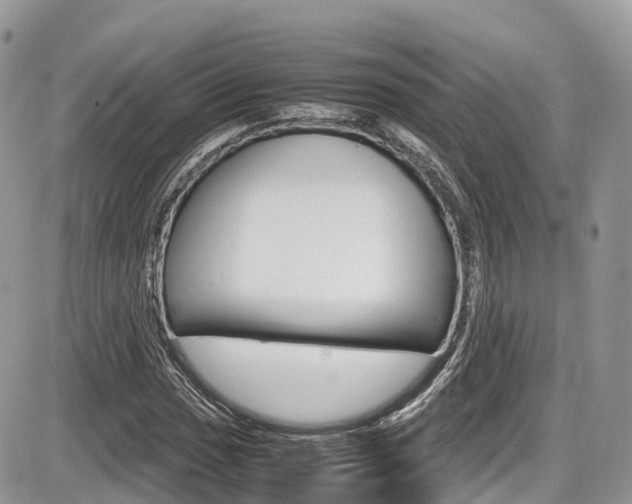 X0000087421017200704201040