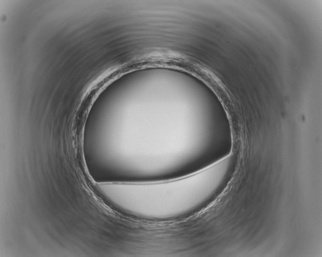 X0000087421018200704201040