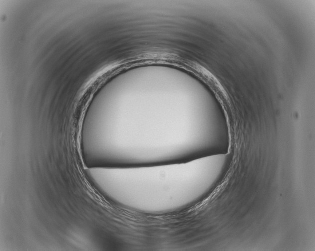 X0000087421019200704201040